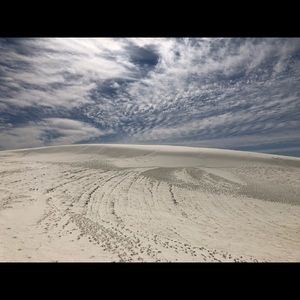 Meet your Posher, Janina